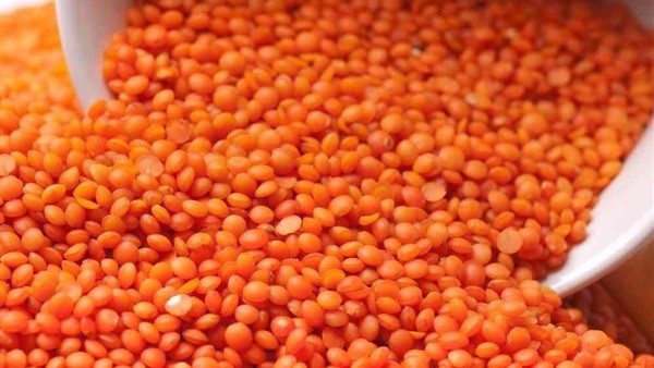 250 جم عدس اصفر تركى