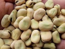 250 جم فول بلدى